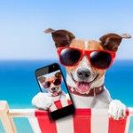 dog-smartphone